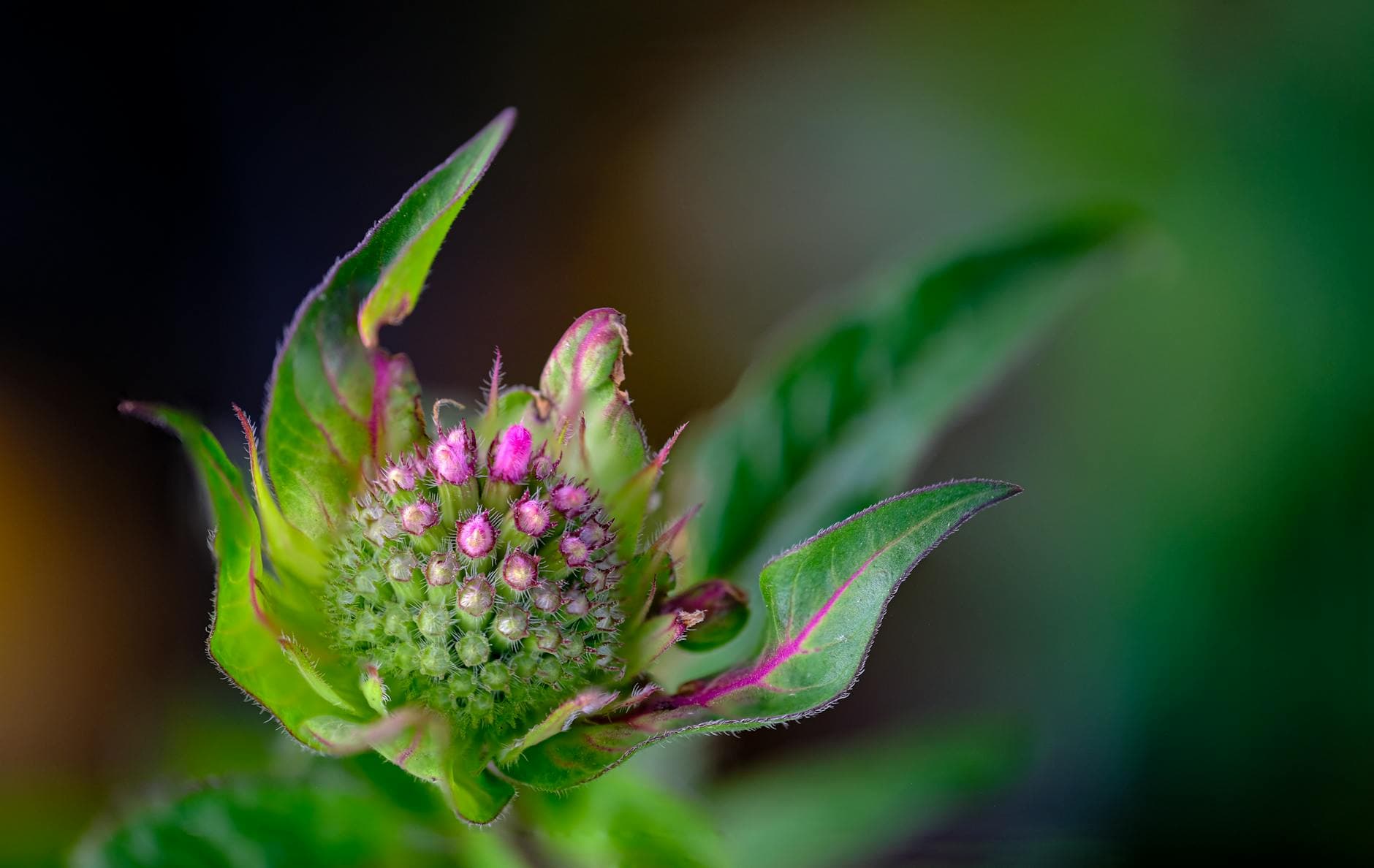 Counter-Strike 2 : maîtriser les fondamentaux en jeu classé