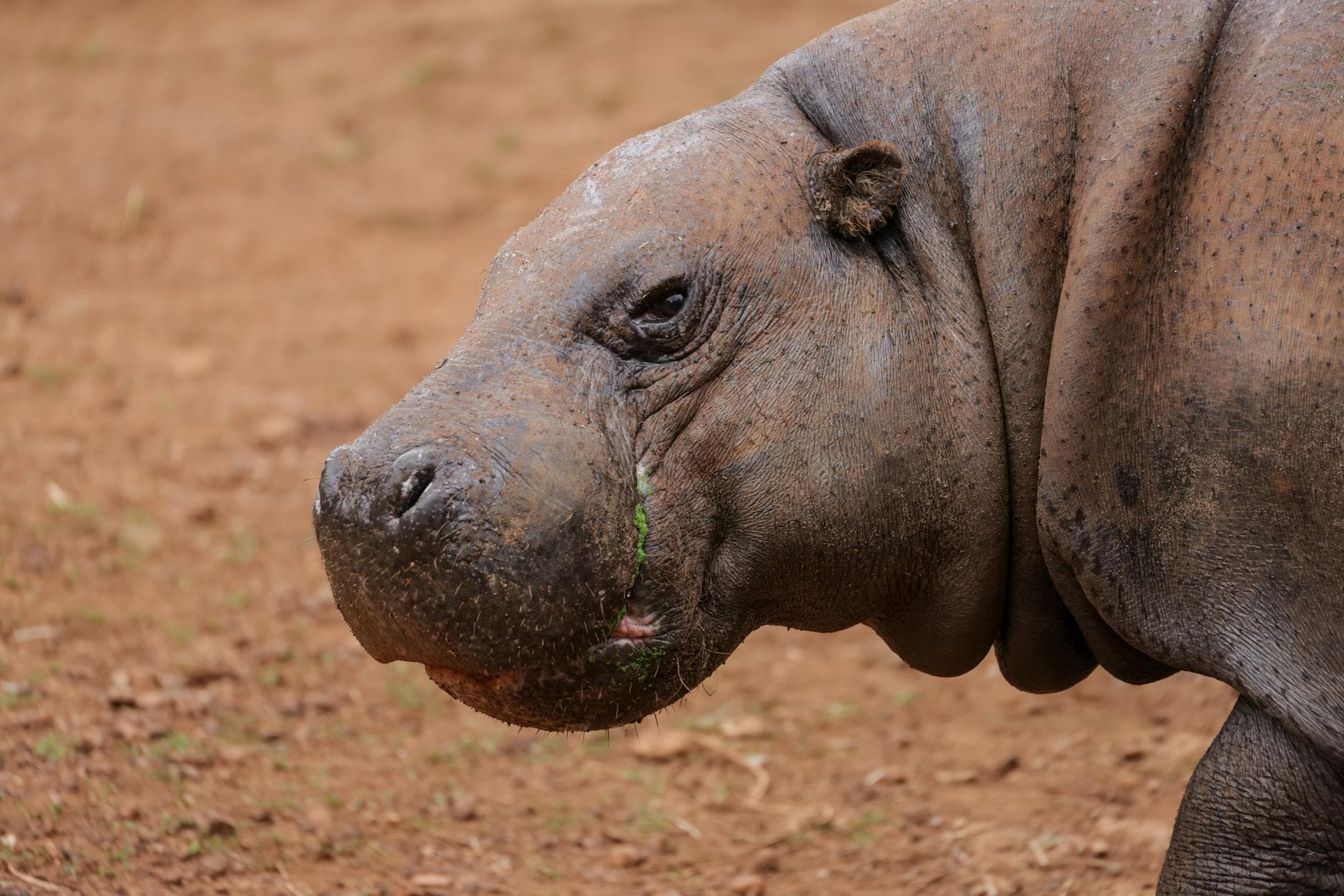 Counter-Strike 2 : l’impact des sous-ticks expliqué simplement