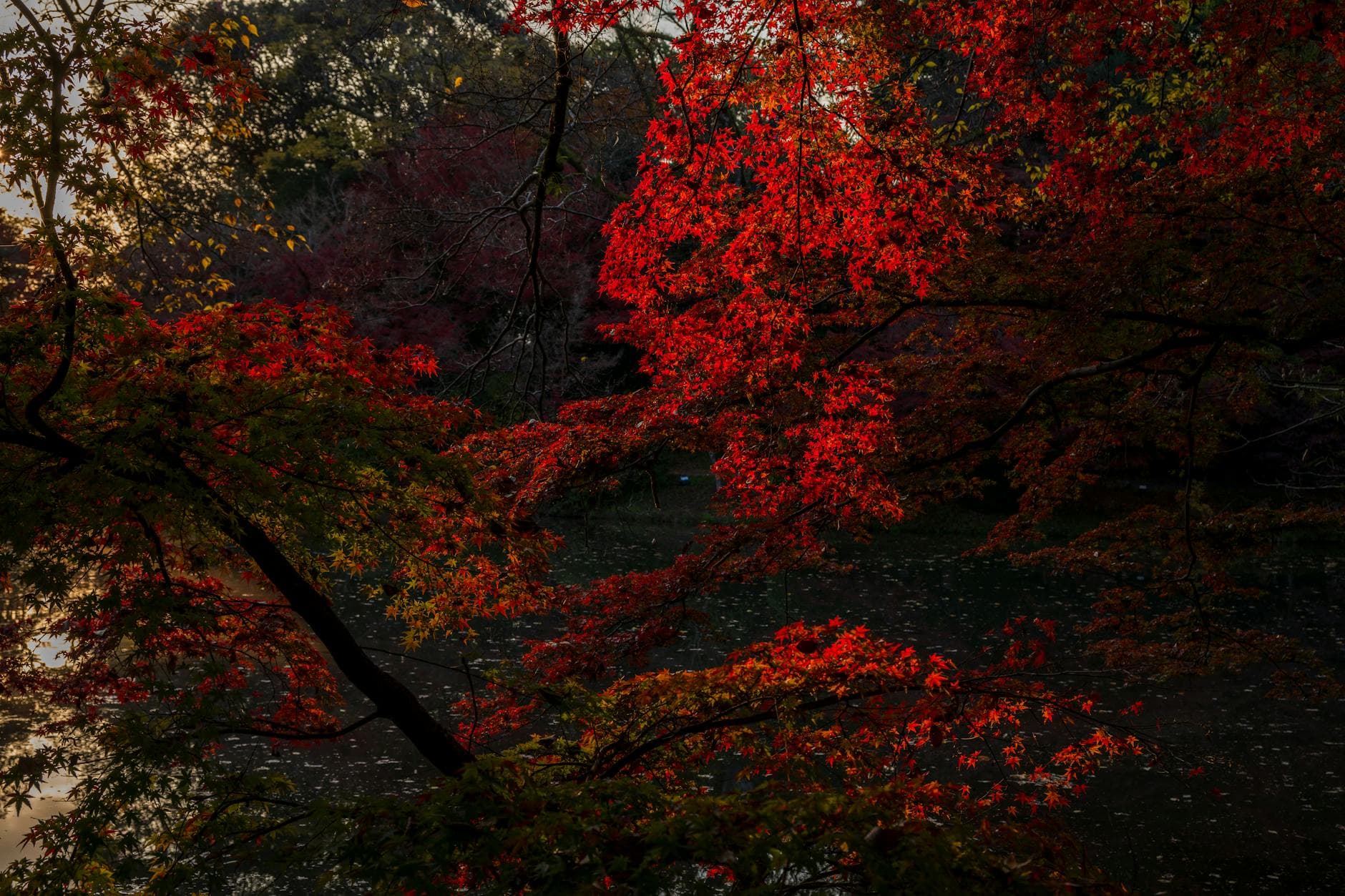 Counter-Strike 2 : prise en main express