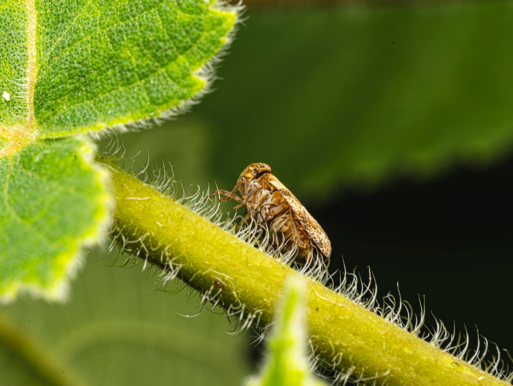 Counter-Strike 2 : dominer grâce aux micro-décisions