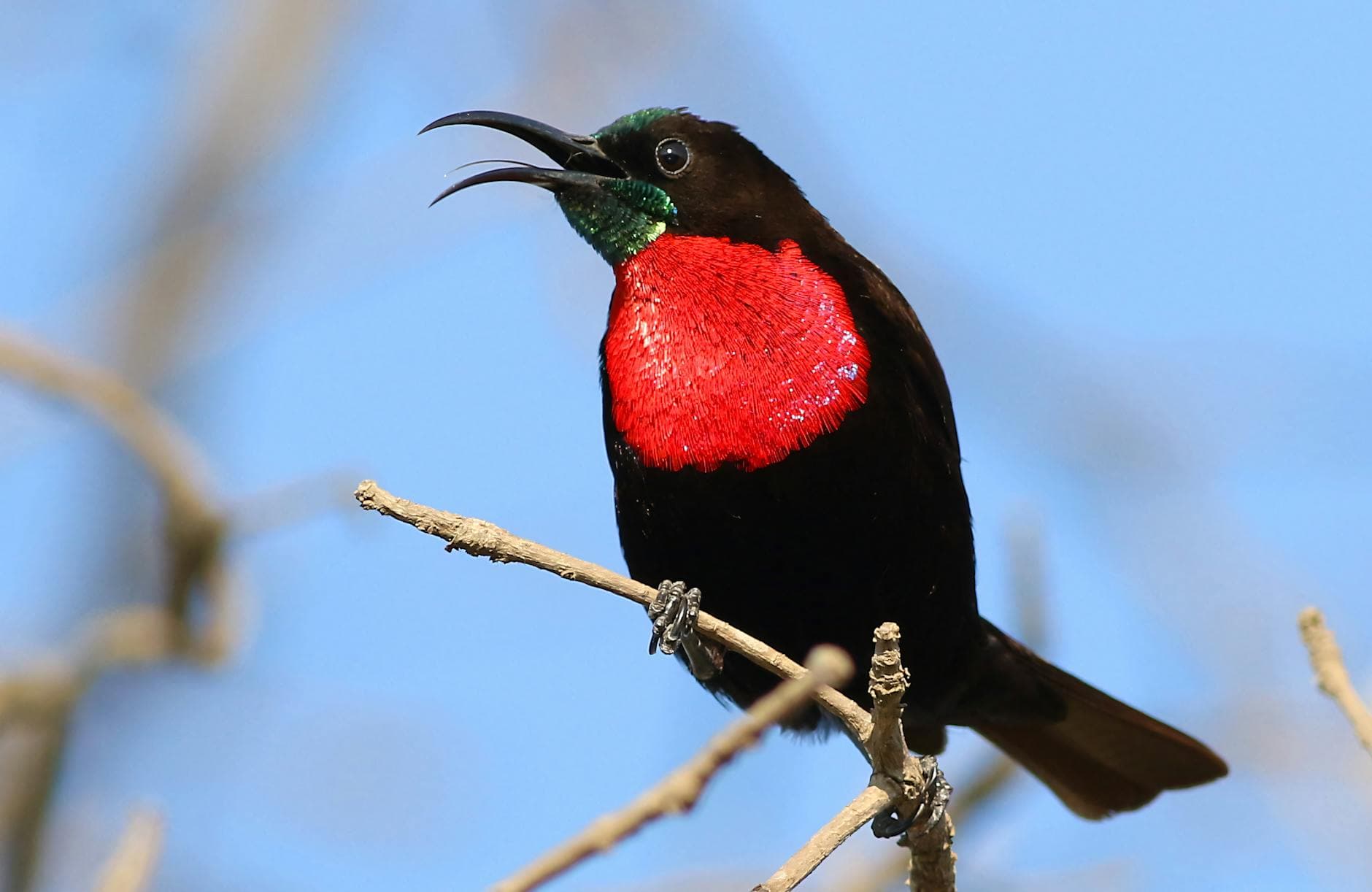 Counter-Strike 2 : l’impact des sous-ticks sur le gameplay