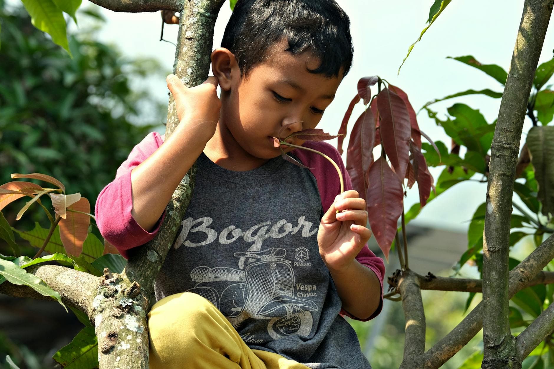 Gaming : maîtriser son temps de jeu